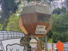 -南宁良凤江国家森林公园