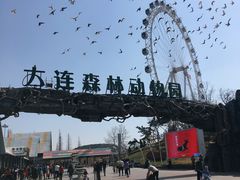 -大连森林动物园