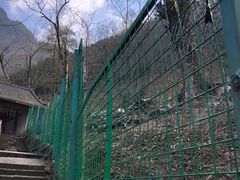 -藏龙百瀑风景区