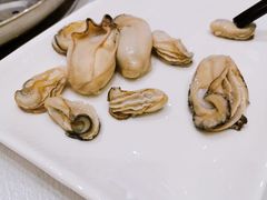 生蚝-流舫海鲜酒家(张溪店)