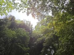-凤栖山