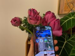 -Apple零售店(苏州店)