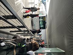 -米兰马尔彭萨国际机场