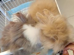 -怪兽屋·羊驼·猫咖·狗咖(俊华广场店)