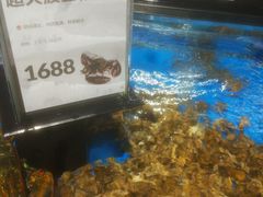 -盒马鲜生(岭南新世界店)
