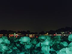 -小王府(什刹海店)