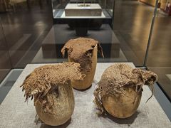 -巴音郭楞蒙古自治州博物馆