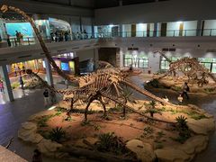 -自贡恐龙博物馆