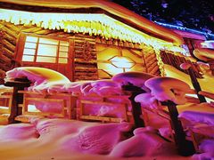 -林海雪乡铁锅炖·东北菜(夏湾店)