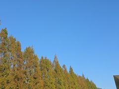 -上海大学（宝山校区）-图书馆