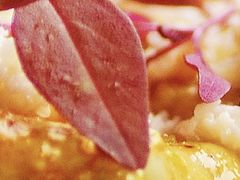 -老房子金沙元年川菜食府·花园餐厅(金沙店)