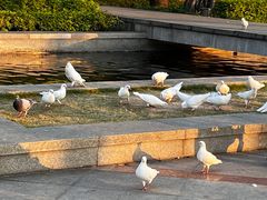 -顺峰山公园