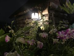 -自然餐厅(Phuket)