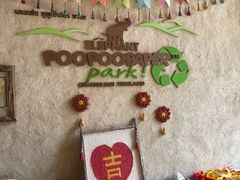 -大象粑粑造纸公园