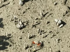 -北海金海湾红树林生态旅游区