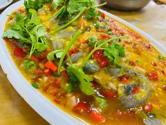 -老字号怡玺·藿香雅鱼(20年雅安店)