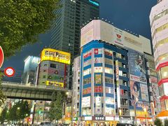 -秋叶原电器街