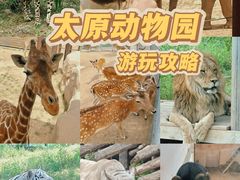 -太原动物园