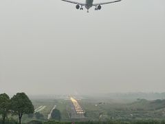 -空港花田景区