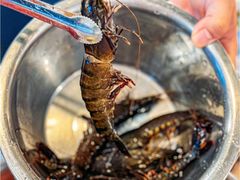 -椰子湾·海南火锅·糟粕醋·椰子鸡(正大广场店)