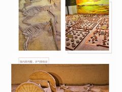 -洛阳周王城天子驾六博物馆