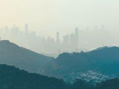 -大金鹰园