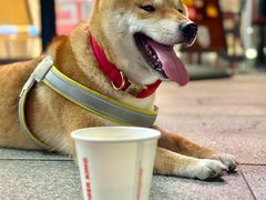 -汉堡王(广州无限极广场店)