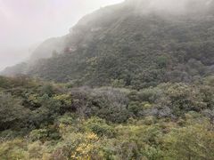 -老象峰