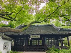 -上海醉白池公园