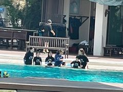 -新加坡水上探险乐园