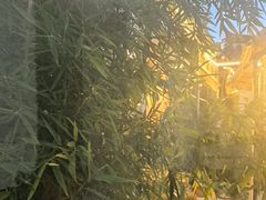 -蘑统田下·野生菌火锅