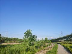 -洨河生态公园