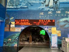 -蓬莱欧乐堡海洋极地世界