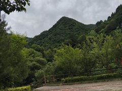 -黑河国家森林公园