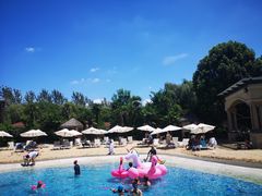 -上海东方佘山翰悦阁酒店·Vie全日制餐厅