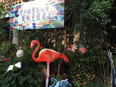 -胡桃里音乐酒馆(星湖北一里店)