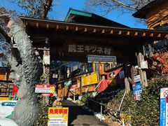 -宫城藏王狐狸村