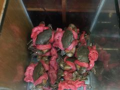 -传统香辣蟹(南园路店)