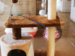 -Me Coffee下午茶艺术空间