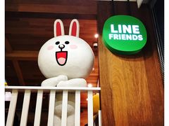 -line friends(明洞旗舰店)