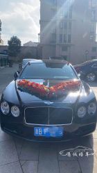 -宁波甬诚婚车(新典路店)
