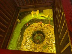 -锦上中式酒馆(南内环店)