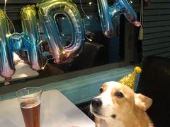 -百好乐宠物友好餐厅(朝外大街店)