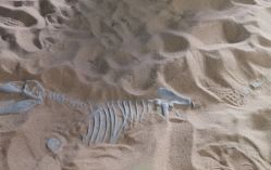 -恐龙探索乐园(磁器口店)