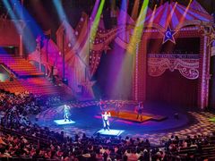 -珠海横琴长隆《卡卡虎奇遇记》