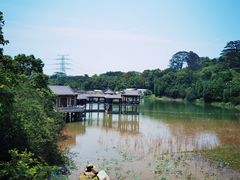 -水濂山森林公园