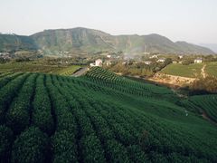 -帐篷客·溪龙茶谷度假酒店