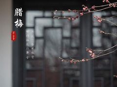 -范蠡湖公园
