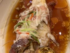 -慈溪白金汉爵大酒店
