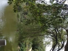 -人民公园(罗湖区)